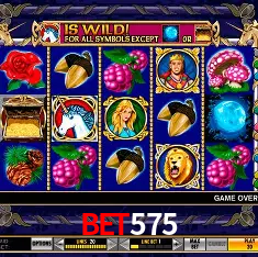 BET575 Rio de Janeiro - Professional Dealers
